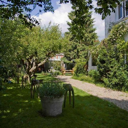 Achter Het Witte Huis Utrecht Exterior photo